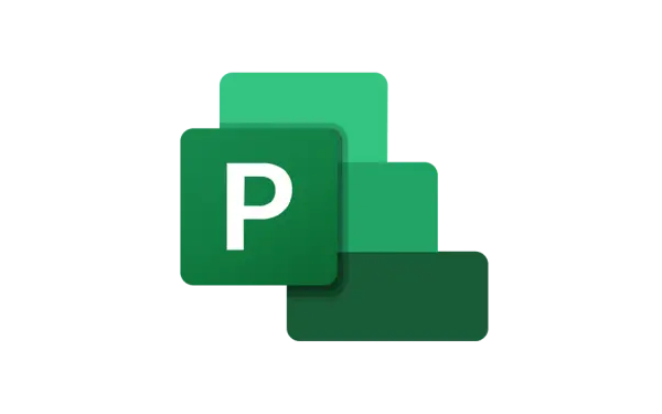 Project Pro 2019 For Win 专业版官网兑换绑定 电子版密钥（可移机）